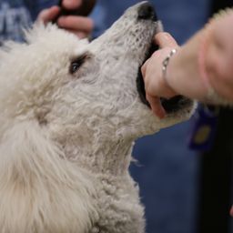 photograph by PeterW